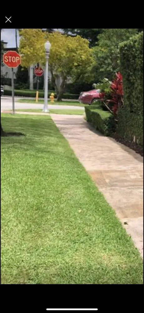 Trusted landscape installation in Miami, FL by D&R Lawn Care Service