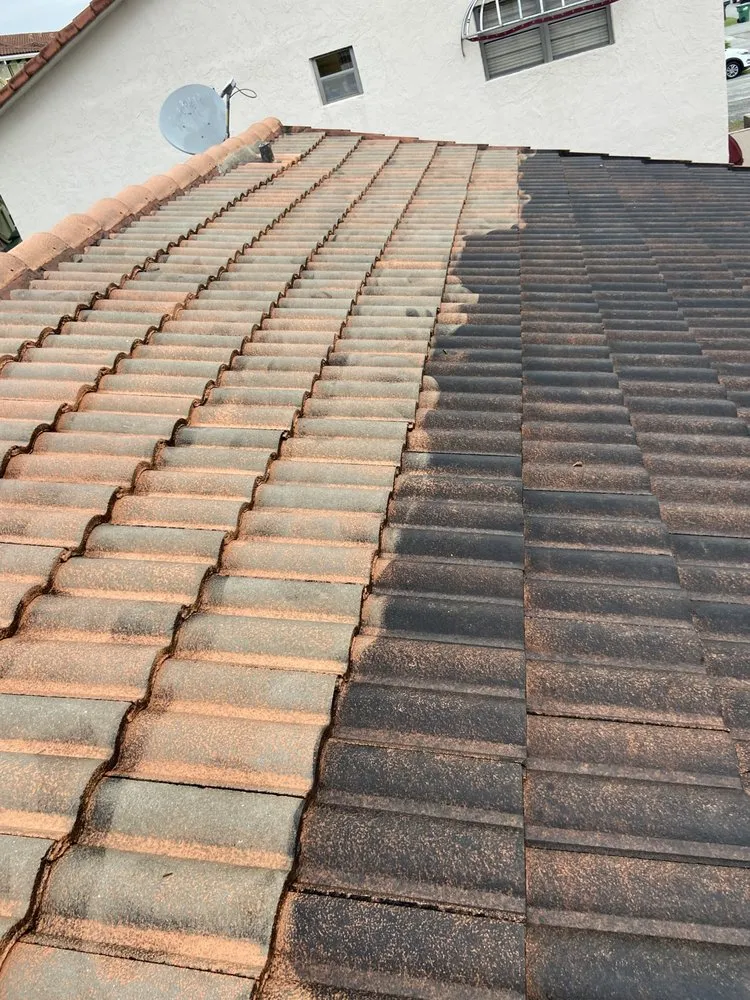 Professional landscape design in Miami, FL by D&R Lawn Care Service