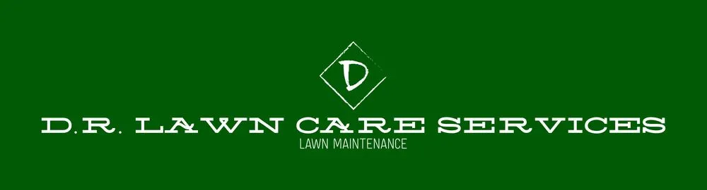 Top-rated yard cleanup service for year-round maintenance in Delavan, WI by D.R. Lawn Care Services