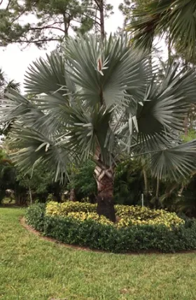 Reliable garden landscaping in Fort Pierce, FL - DR Lawn Services