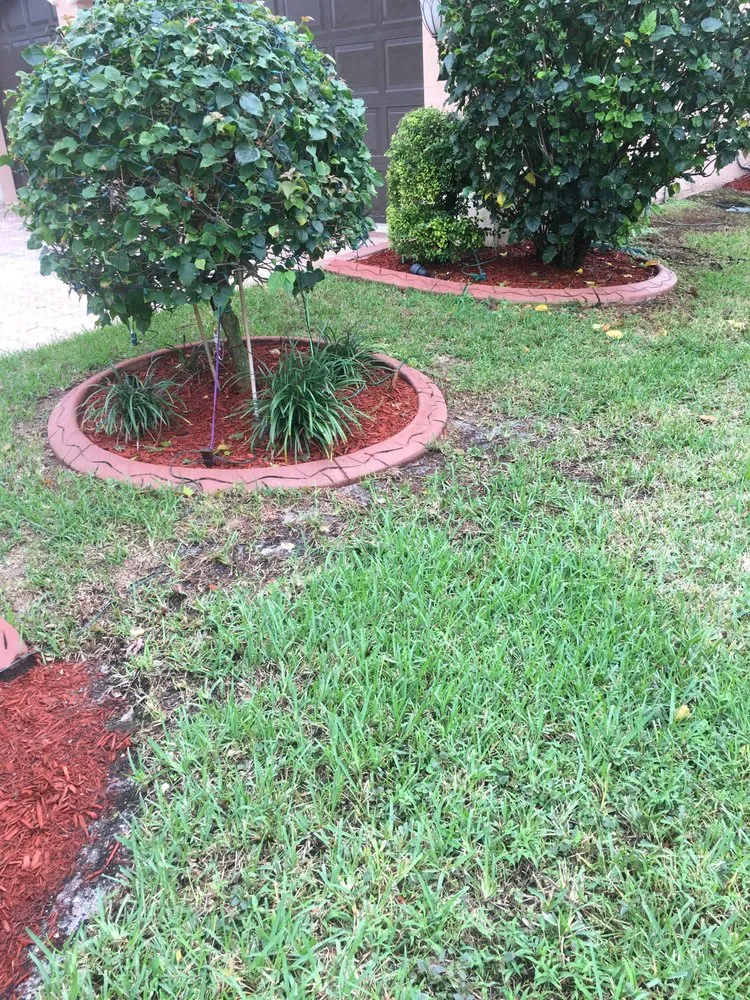 Trusted yard maintenance for homes in Fort Pierce, FL by DR Lawn Services