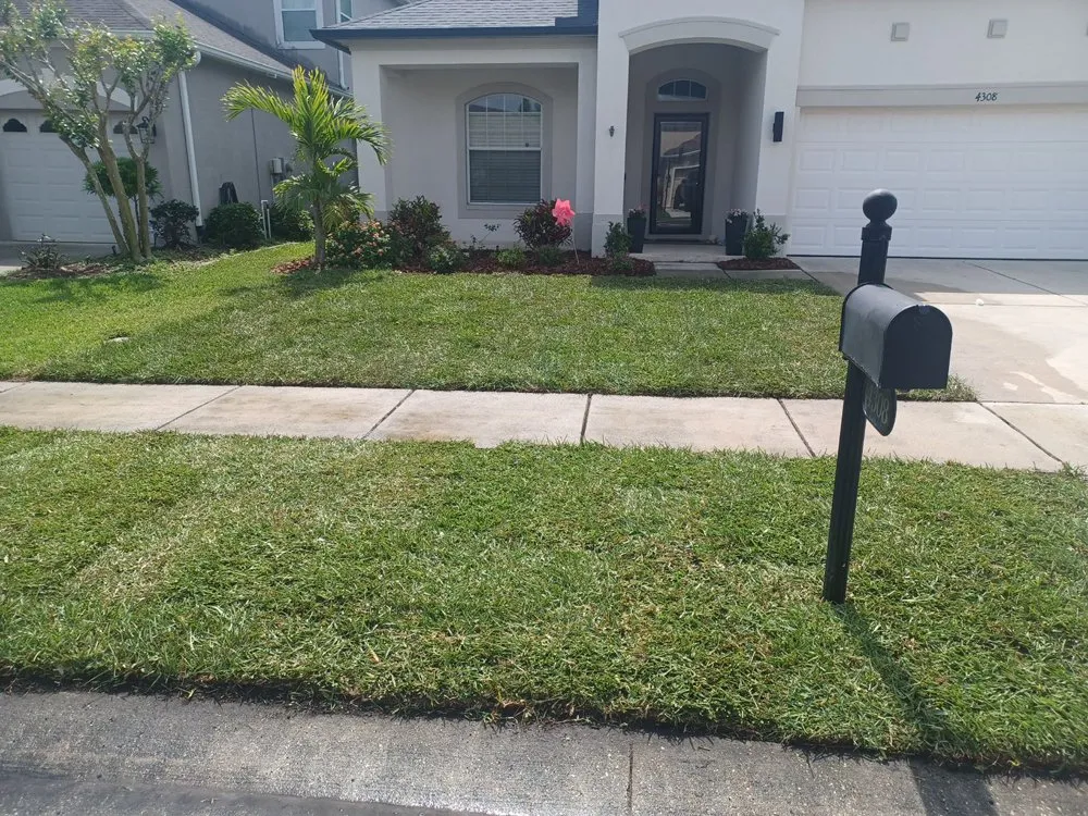 Reliable lawn care service experts serving Tampa Bay, FL - D&R Lawn Services