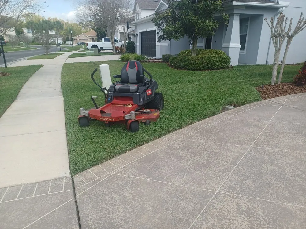 Custom yard cleanup service for beautiful yards across Tampa Bay, FL - D&R Lawn Services
