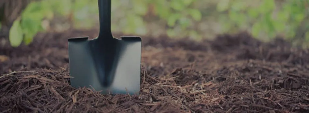 Reliable outdoor landscaping in Ben Wheeler, TX by D.R. Lawn Solutions