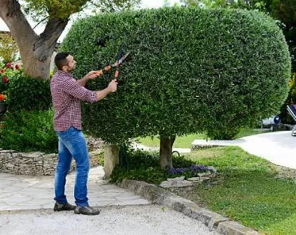 Local landscape installation near you in Ben Wheeler, TX by D.R. Lawn Solutions