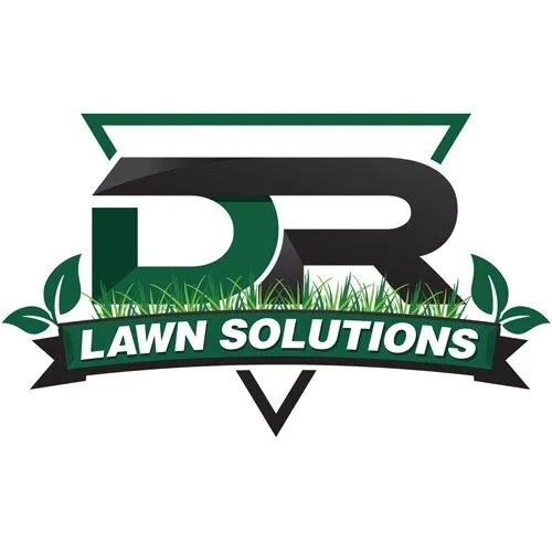 Professional landscaping services experts serving Ben Wheeler, TX - D.R. Lawn Solutions