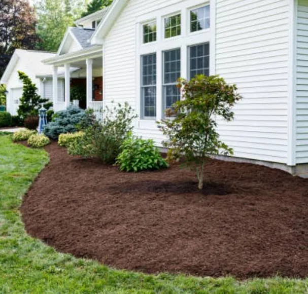 Custom outdoor landscaping in Ben Wheeler, TX - D.R. Lawn Solutions