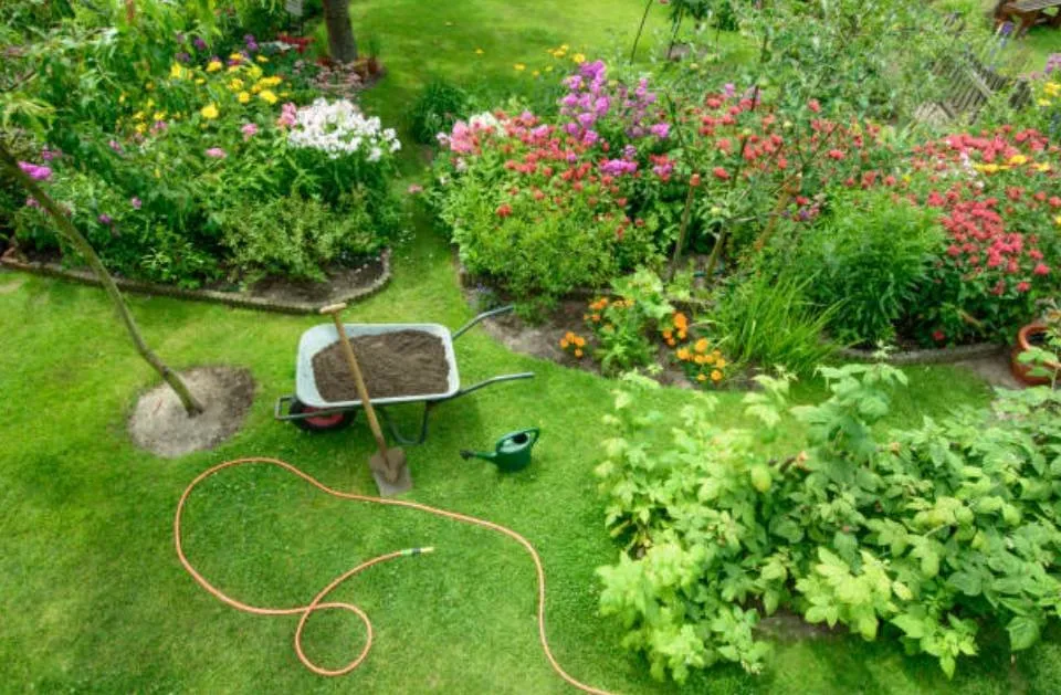 Expert lawn care service in Ben Wheeler, TX - D.R. Lawn Solutions