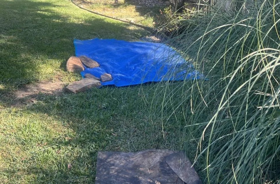 Professional yard maintenance in Ben Wheeler, TX by D.R. Lawn Solutions