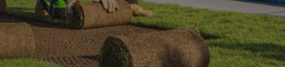 Expert yard maintenance for homes across Ben Wheeler, TX - D.R. Lawn Solutions