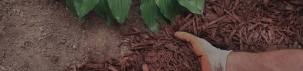 Expert landscape installation experts serving Ben Wheeler, TX - D.R. Lawn Solutions