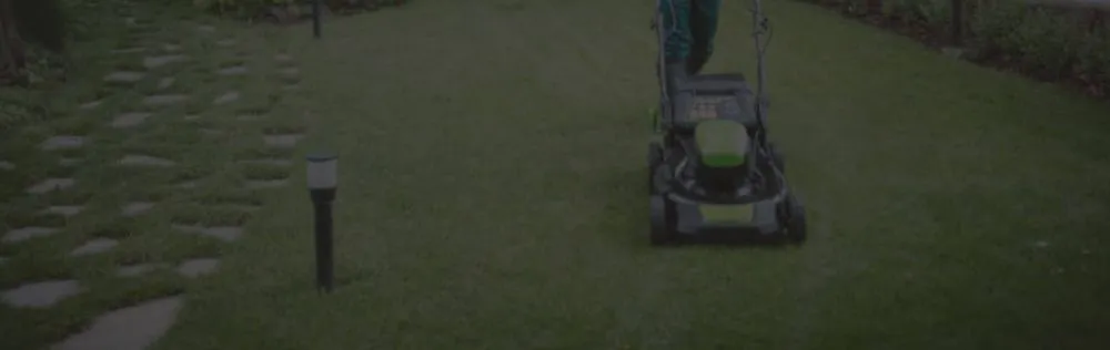 Reliable landscape design for year-round maintenance in Ben Wheeler, TX by D.R. Lawn Solutions