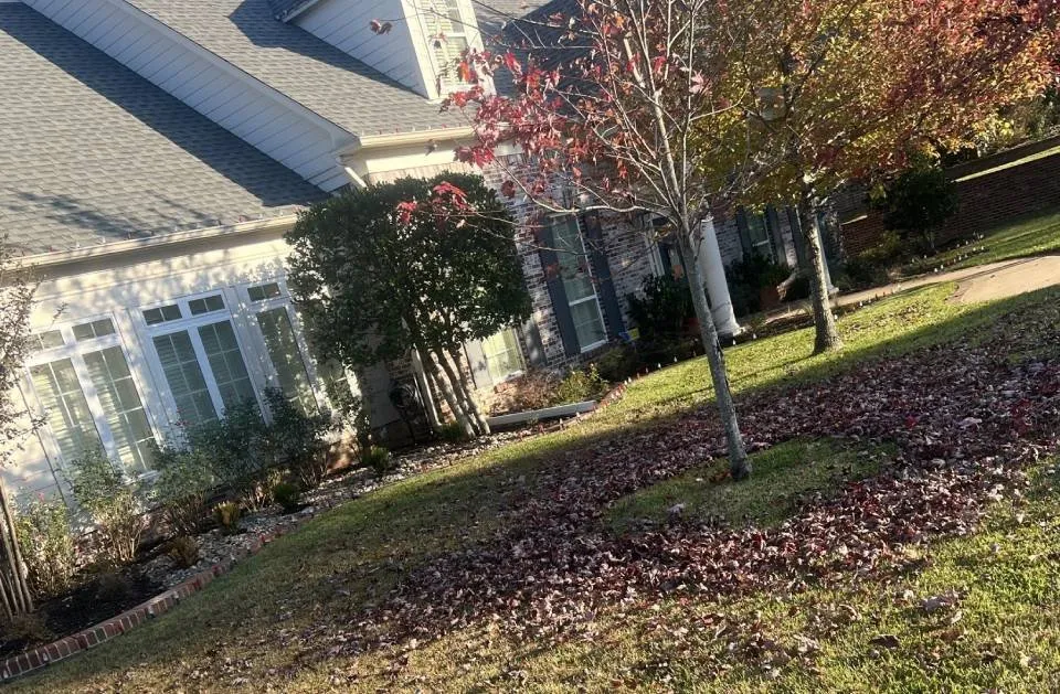 Local lawn mowing service experts serving Ben Wheeler, TX - D.R. Lawn Solutions