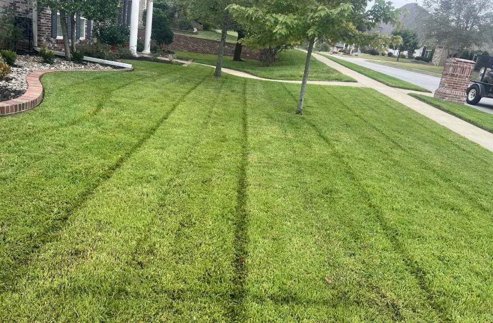 Professional garden landscaping experts serving Ben Wheeler, TX - D.R. Lawn Solutions