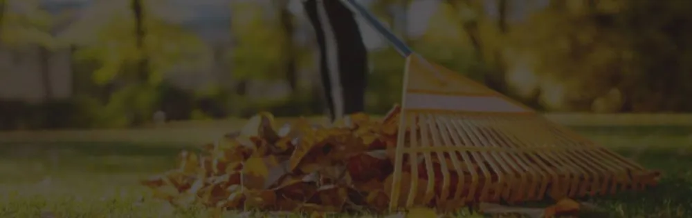 Top-rated yard cleanup service with custom design across Ben Wheeler, TX - D.R. Lawn Solutions