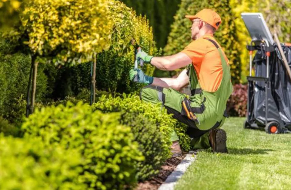 Professional landscape design in Ben Wheeler, TX - D.R. Lawn Solutions
