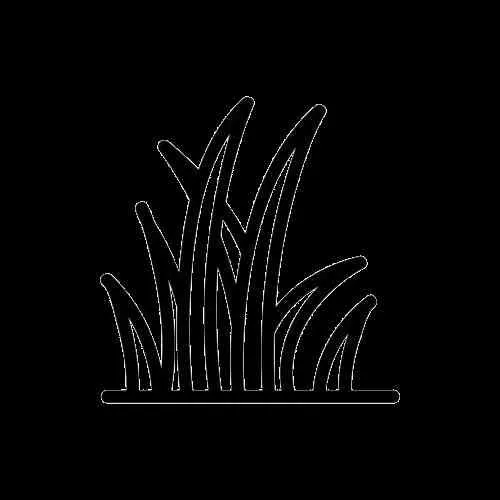 Top-rated landscaping services in Ben Wheeler, TX - D.R. Lawn Solutions