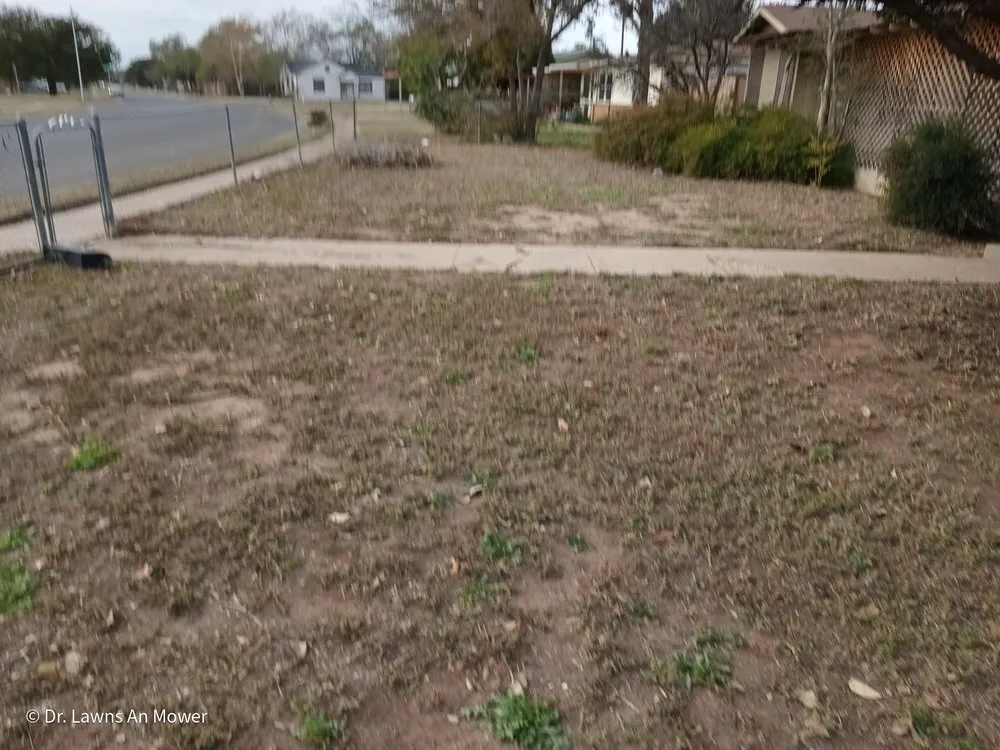 Reliable yard cleanup service in Lubbock, TX by Dr. Lawns An Mower