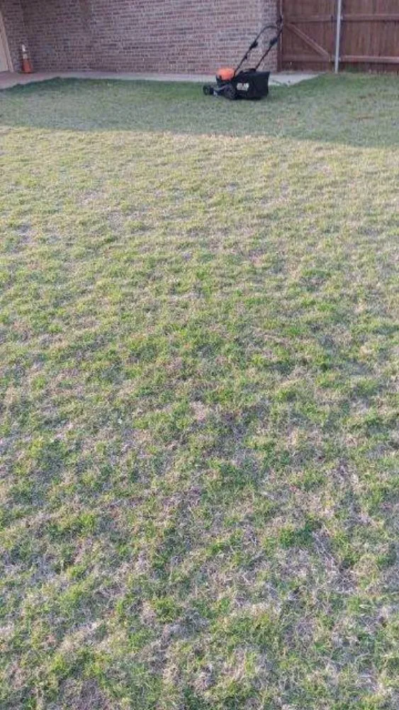 Professional outdoor landscaping for residential properties across Lubbock, TX - Dr. Lawns An Mower