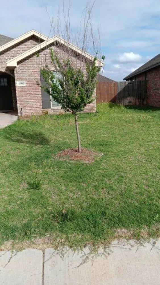 Affordable outdoor landscaping in Lubbock, TX - Dr. Lawns An Mower