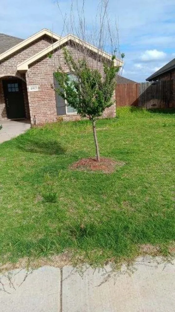 Professional residential landscaping experts serving Lubbock, TX - Dr. Lawns An Mower