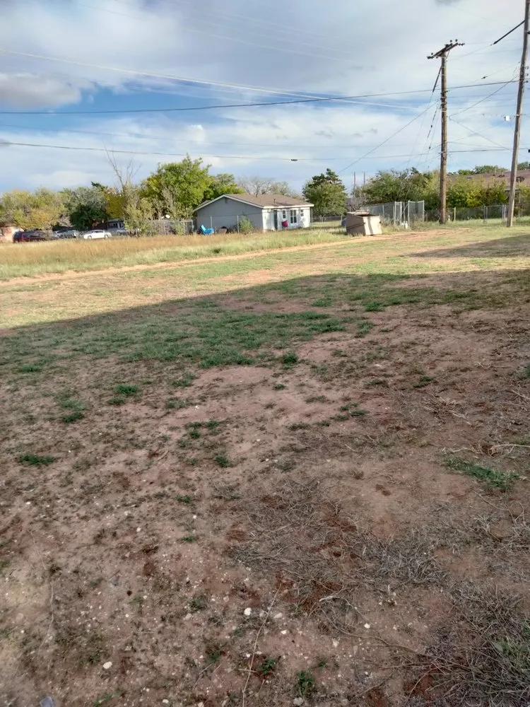 Professional yard cleanup service in Lubbock, TX by Dr. Lawns An Mower