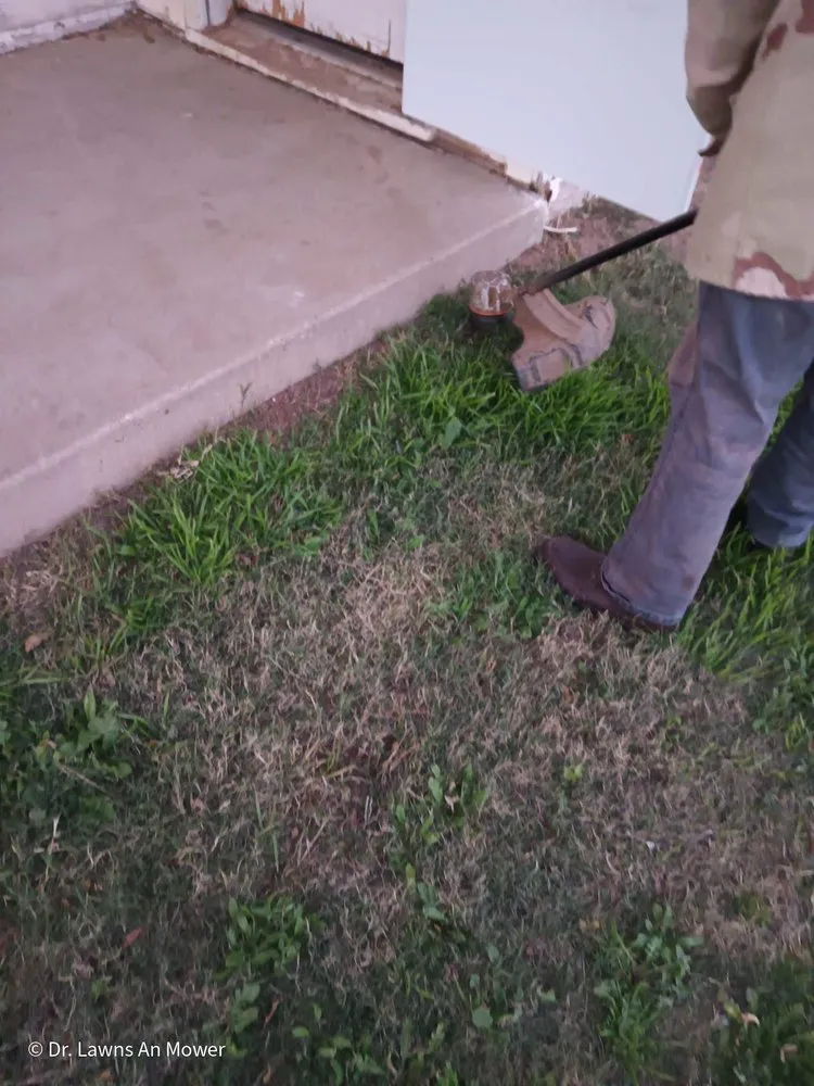 Reliable yard maintenance for year-round maintenance in Lubbock, TX by Dr. Lawns An Mower