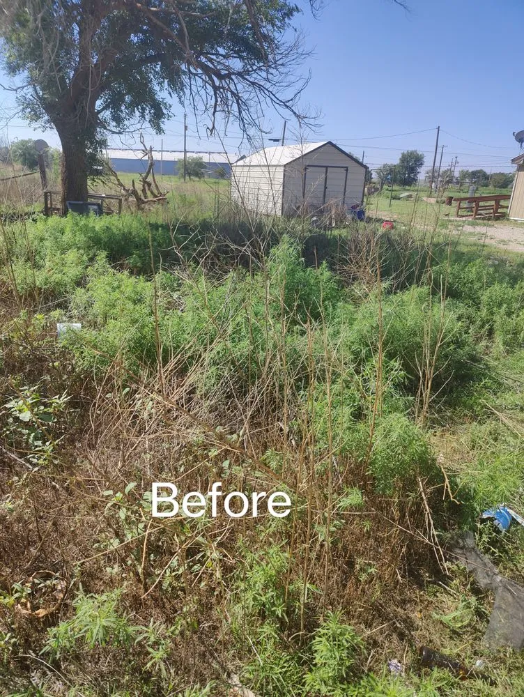 Expert yard cleanup service in Lubbock, TX - Dr. Lawns An Mower