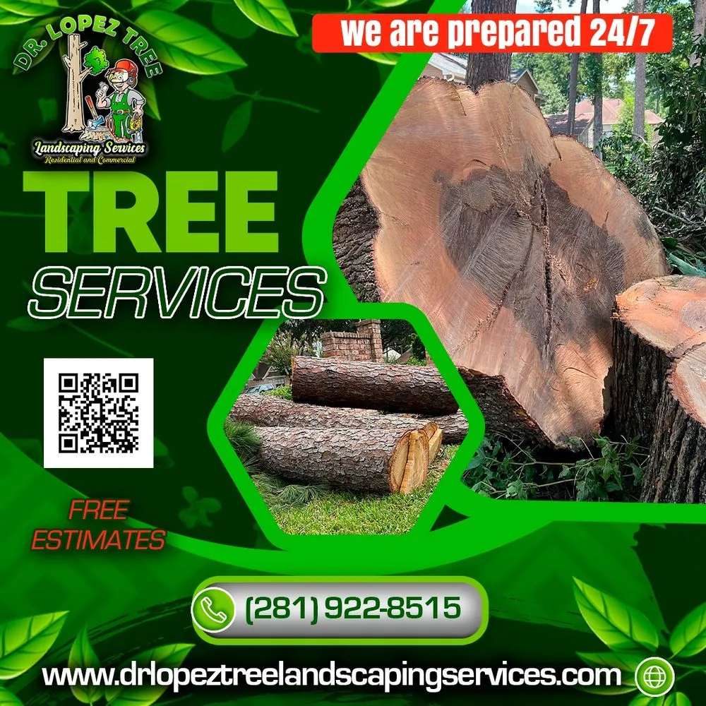 Local landscape installation in Houston, TX - Dr Lopez Tree