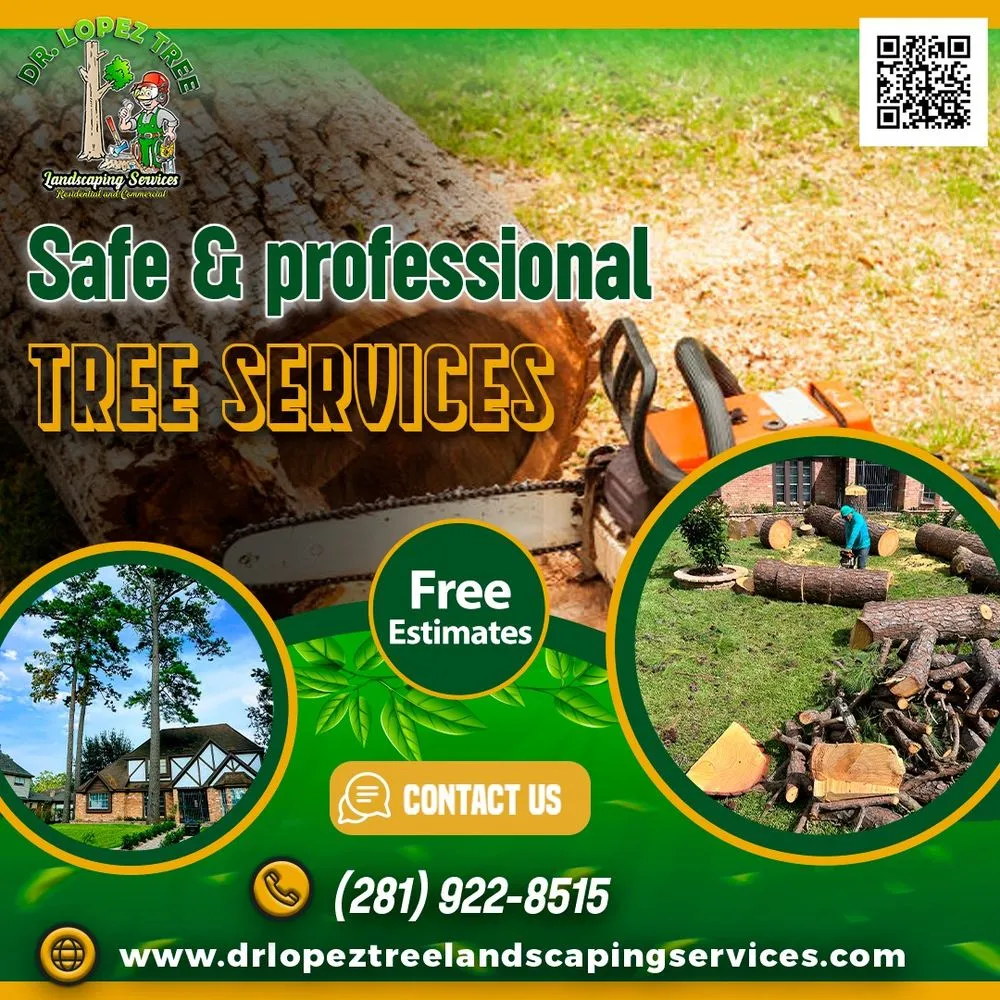 Trusted landscape installation in Houston, TX - Dr Lopez Tree