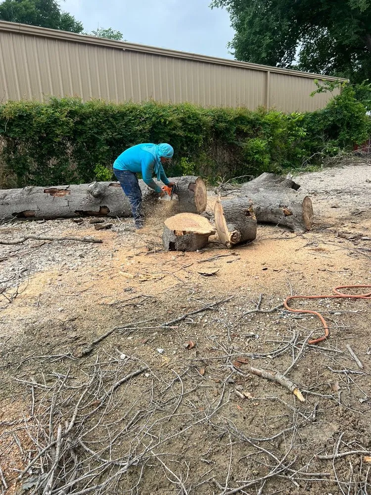 Expert lawn mowing service in Houston, TX - Dr Lopez Tree