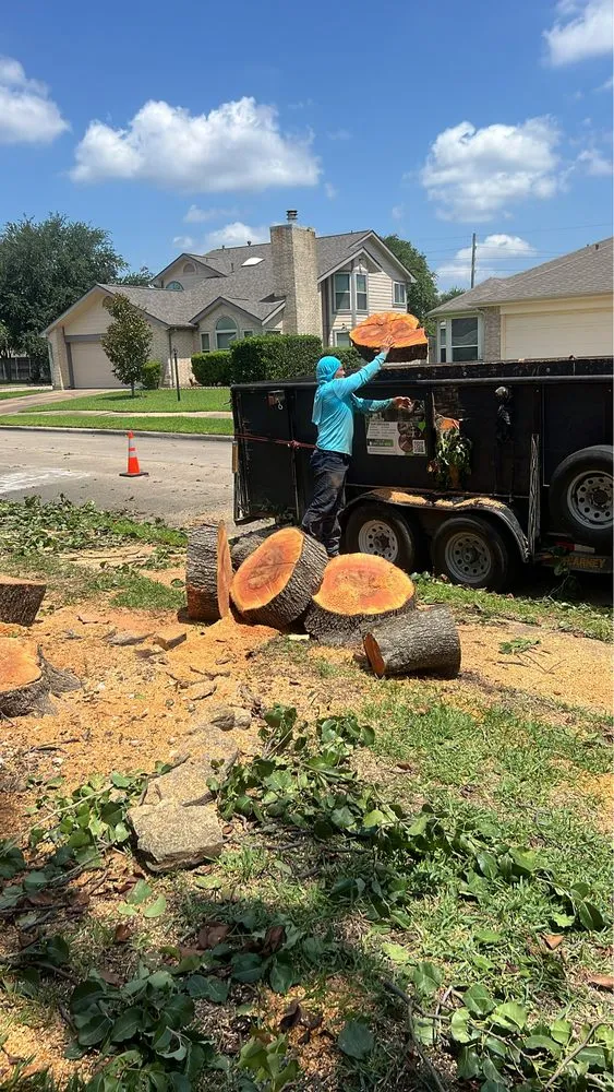 Custom residential landscaping in Houston, TX by Dr Lopez Tree