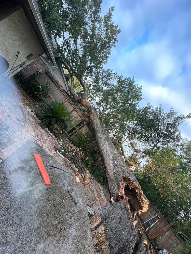 Expert residential landscaping experts serving Houston, TX - Dr Lopez Tree