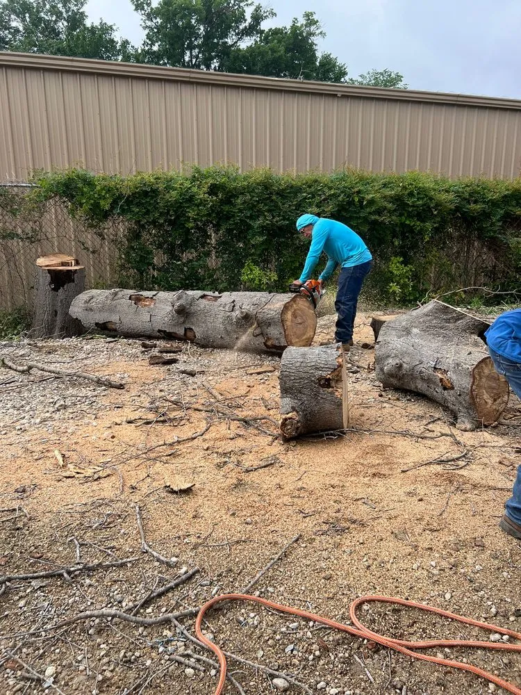 Expert landscaping services in Houston, TX by Dr Lopez Tree