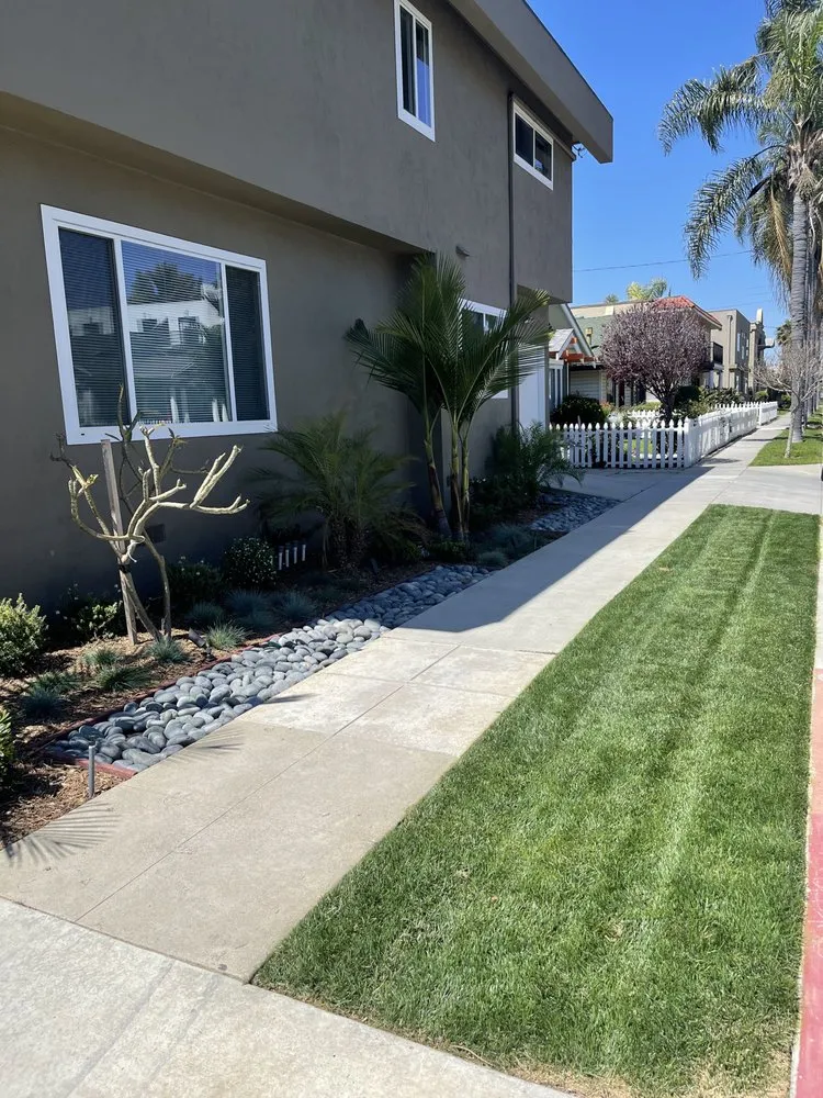 Professional yard cleanup service in Costa Mesa, CA - D&R Maintenance
