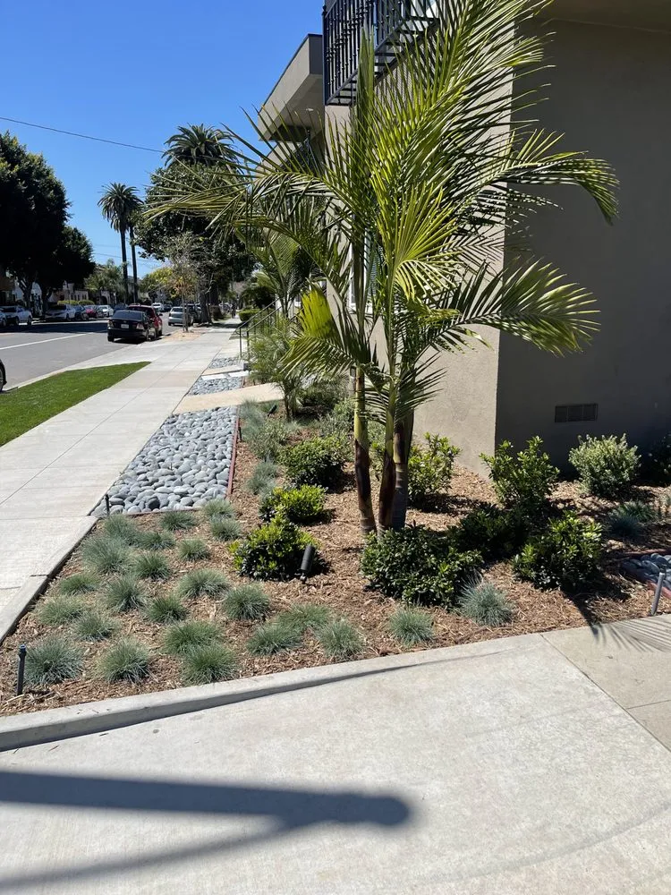 Professional landscape design in Costa Mesa, CA by D&R Maintenance