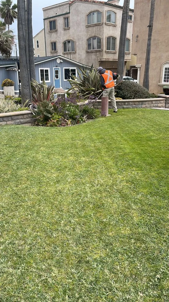 Reliable landscaping services experts serving Costa Mesa, CA - D&R Maintenance