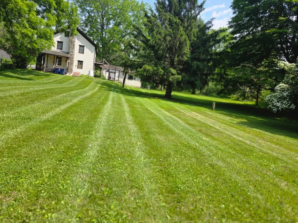 Reliable lawn mowing service in Red Hook, NY - DR Miscellaneous Odd Jobs And Lawn Care