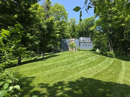 DR Miscellaneous Odd Jobs And Lawn Care