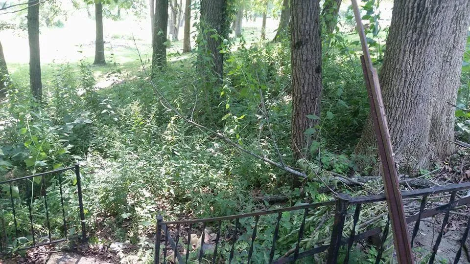 Affordable outdoor landscaping for residential properties across Idaville, IN - D&R Property Preservations & Glass