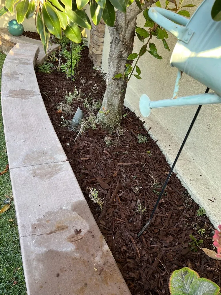 Local landscape design with custom design across Huntington Beach, CA - Dr Sprinkler