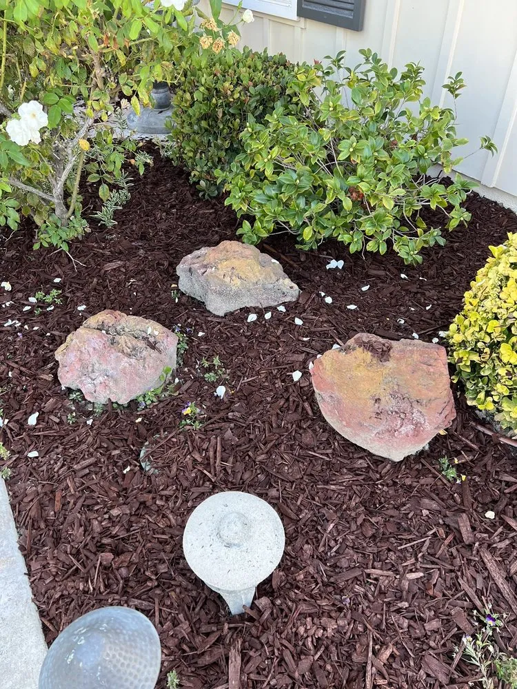 Professional yard maintenance experts serving Huntington Beach, CA - Dr Sprinkler