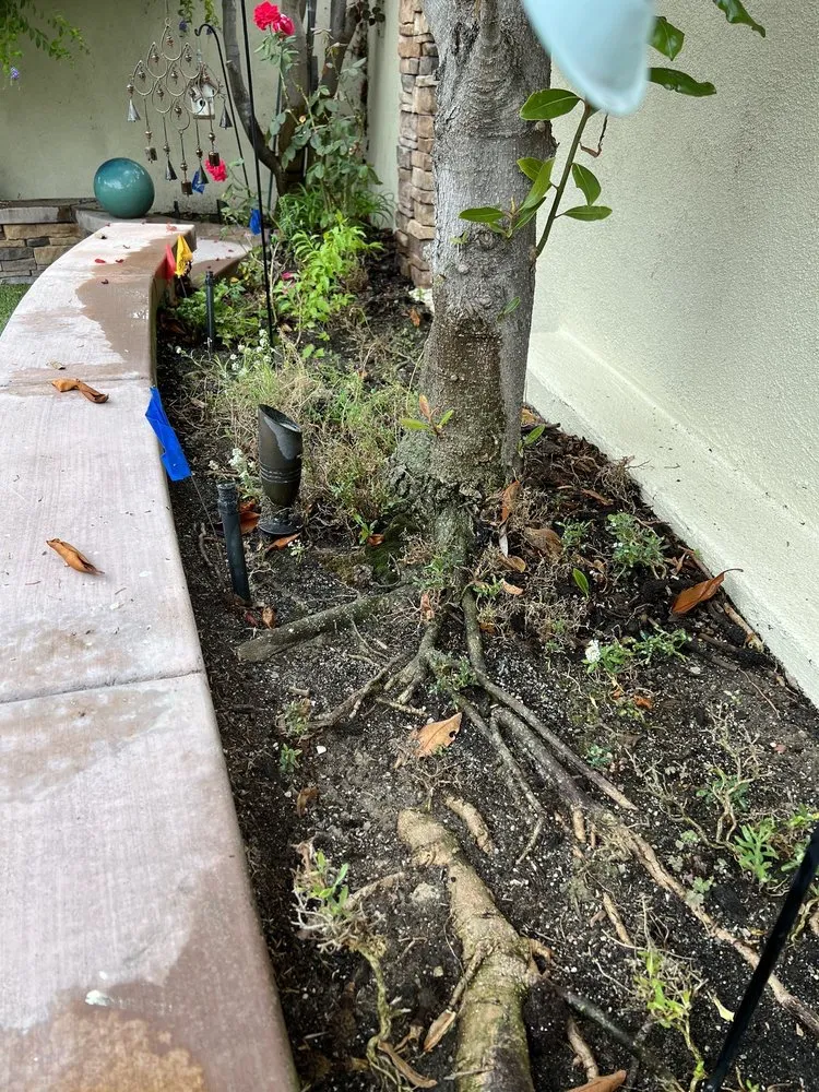 Affordable landscaping services for beautiful yards across Huntington Beach, CA - Dr Sprinkler