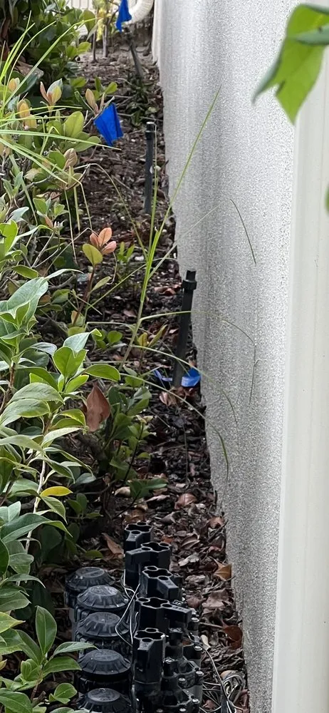 Top-rated residential landscaping in Huntington Beach, CA by Dr Sprinkler