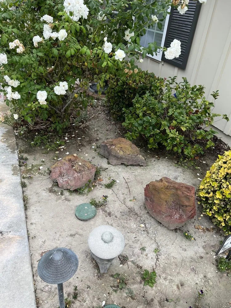 Custom residential landscaping in Huntington Beach, CA by Dr Sprinkler