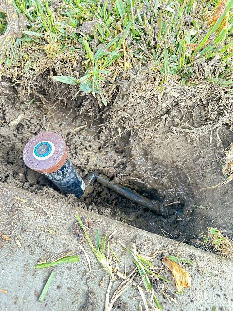 Custom lawn mowing service experts serving Huntington Beach, CA - Dr Sprinkler