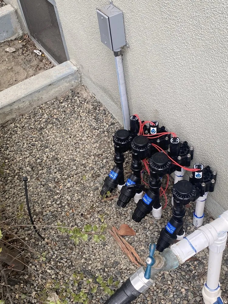 Reliable landscape design in Huntington Beach, CA by Dr Sprinkler