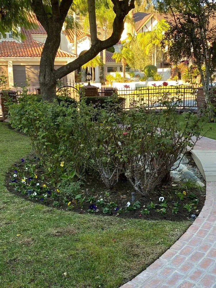 Affordable lawn mowing service for homes across Huntington Beach, CA - Dr Sprinkler