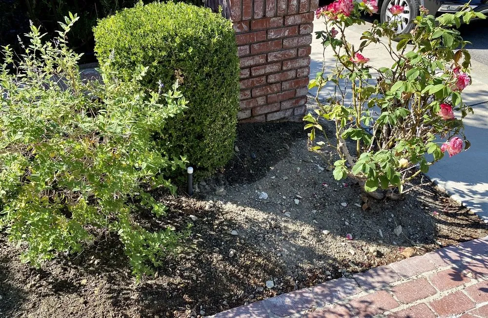 Top-rated yard cleanup service in Huntington Beach, CA - Dr Sprinkler