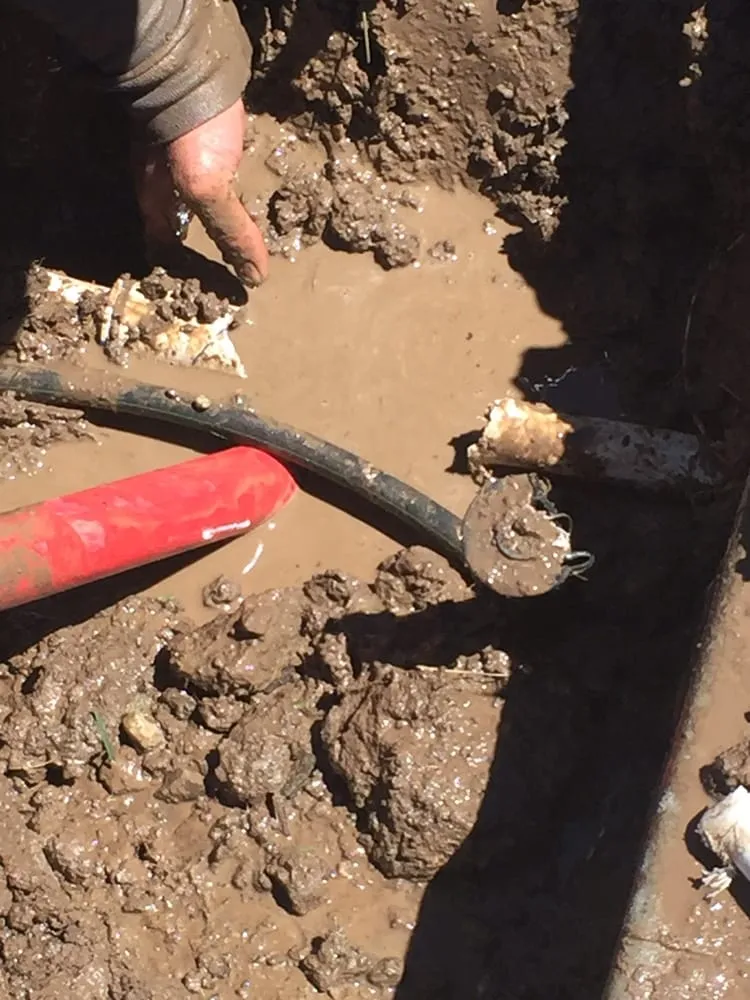 Top-rated lawn care service in North Ogden, UT - Dr. Sprinkler